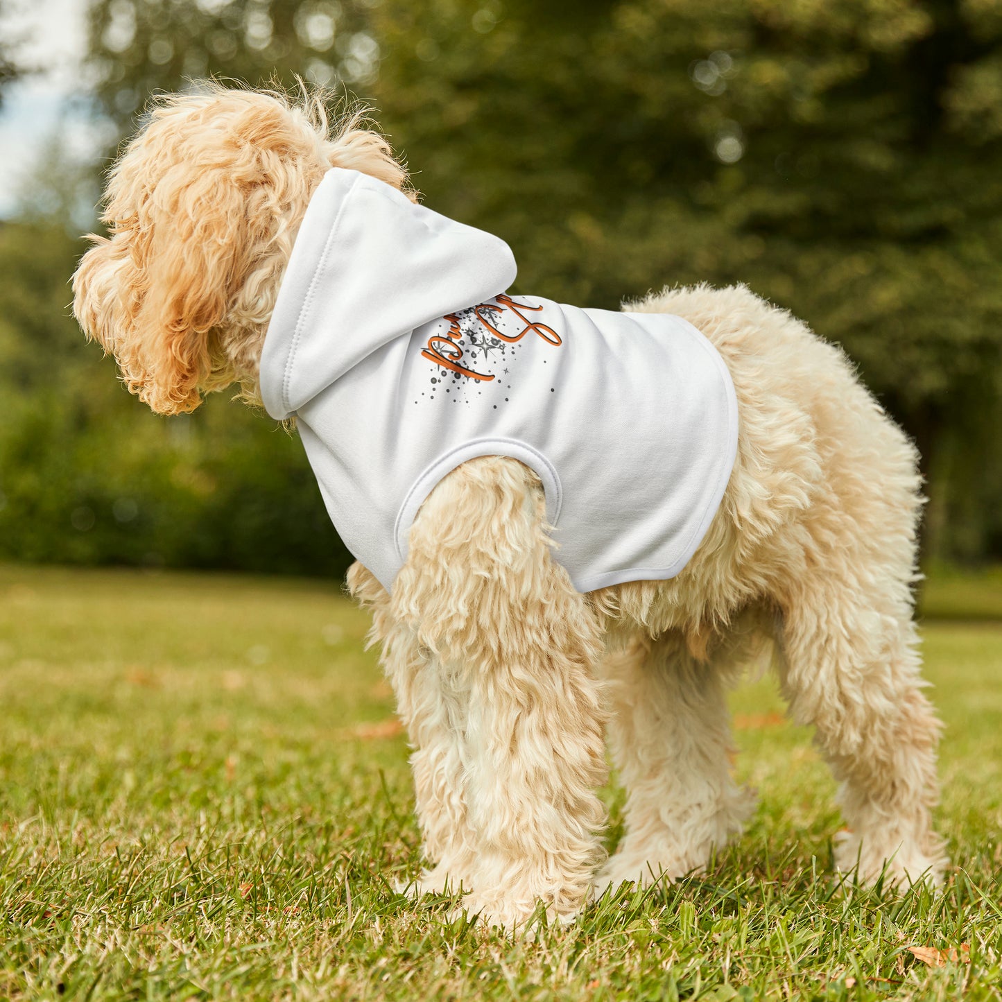 Pet Hoodie - Pumpkin Spiced